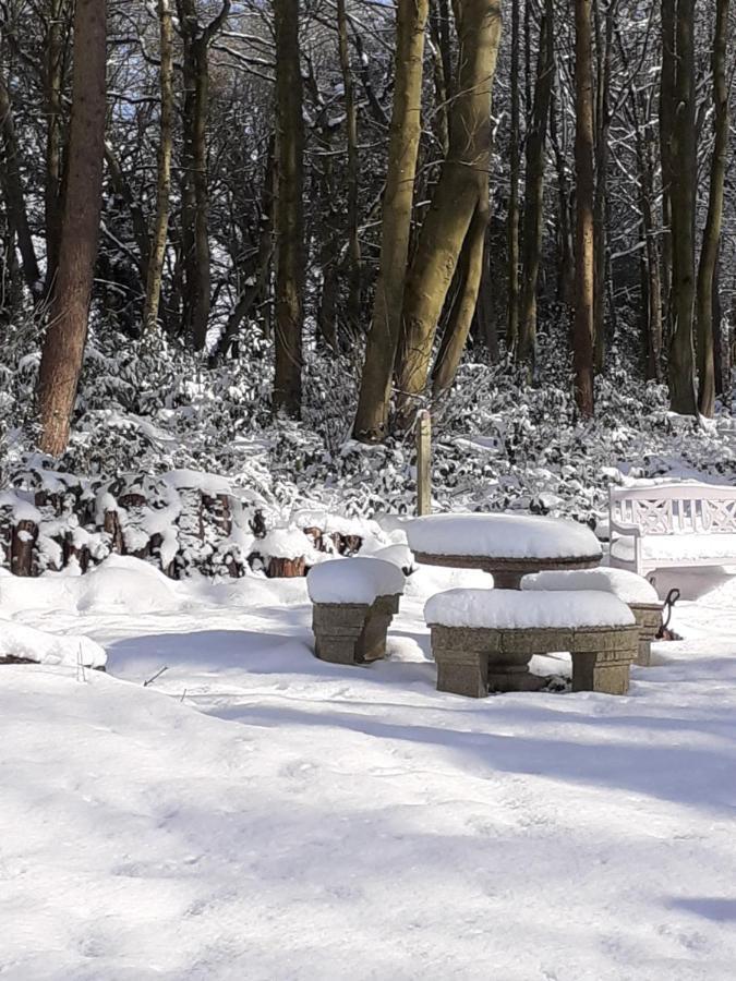 Gingerbread Cottage Yurts 이스트데어햄 외부 사진