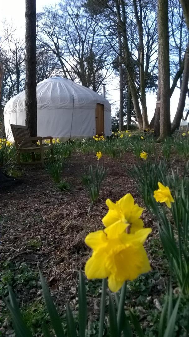 Gingerbread Cottage Yurts 이스트데어햄 외부 사진